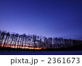 朝　-紫のグラデーション-
