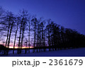 朝　-紫のグラデーション-