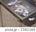 バーベキュー準備
