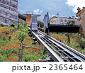 コインブラ市内