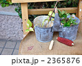 ガーデニングバケツと鉢植え