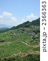 2366363