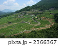 2366367