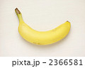 2366581
