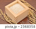 注意）稲穂は品種が不明です。稲穂とお米。