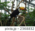 2368832