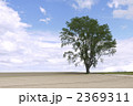 2369311
