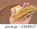 注意）稲穂は品種が不明です。稲穂とお米。
