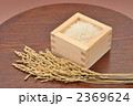 注意）稲穂は品種が不明です。稲穂とお米。