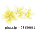 2369991