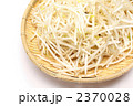緑豆もやし