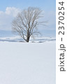 2370254