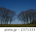 2371333