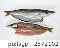 カマスの干物（裏表）