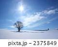 雪原と太陽