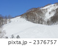 ニセコのゲレンデ