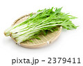 ざるに乗っている水菜