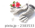 雪の上の手袋