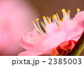 祈り