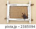 カブトムシと額縁