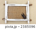 クワガタと額縁