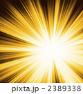 2389338