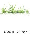 2389548
