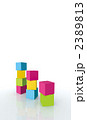 2389813