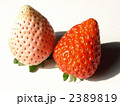 紅白イチゴ１
