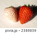 紅白イチゴ３