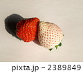 紅白イチゴ４
