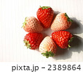 紅白イチゴ　ペンタ１