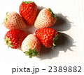 紅白イチゴ　ペンタ２