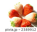 紅白イチゴ　ペンタ４