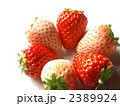紅白イチゴ　ペンタ５