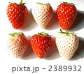 紅白イチゴ　ミックス１