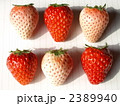 紅白イチゴ　ミックス２