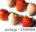 紅白イチゴ　ミックス４