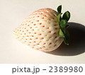 白イチゴ　１