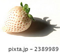 白イチゴ　２