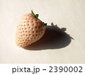 白イチゴ　３