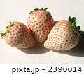 白イチゴ　３個　１