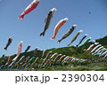 2390304