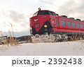 2392438