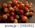 苺とトマトのイメージ