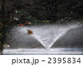 2395834
