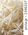 フレッシュ もやし 野菜