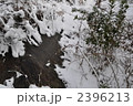 凍結する川