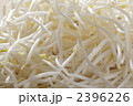 もやし 野菜 食材