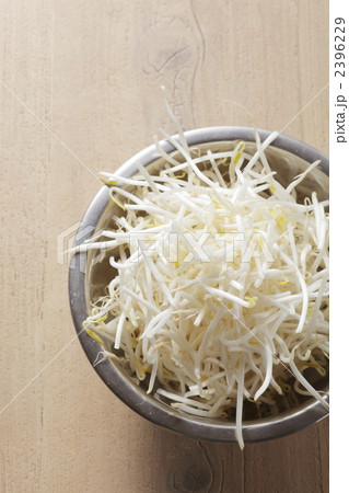 もやし 野菜 食材